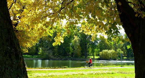 Donau Radfahrer Herbst Radweg | © Pixabay