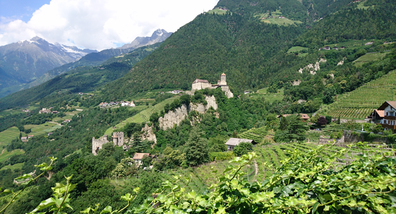 Weinfelder,Schloss,Berge | © Schloss Tirol bei Meran (C) Manuela Strasser.JPG