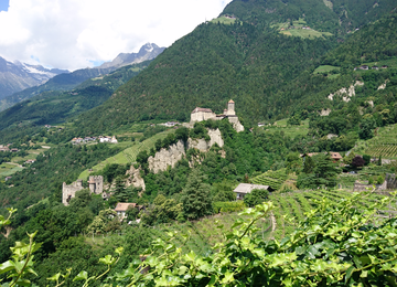 Weinfelder,Schloss,Berge | © Schloss Tirol bei Meran (C) Manuela Strasser.JPG