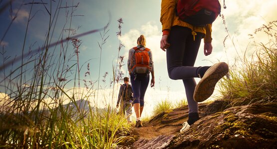 Wandern,Wiese,Blume | © shutterstock_209357416