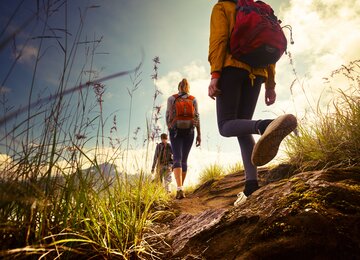 Wandern,Wiese,Blume | © shutterstock_209357416