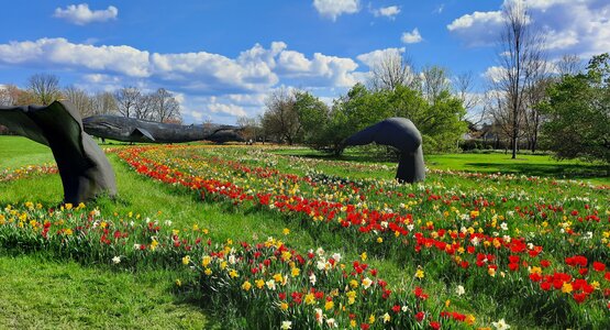 Blumen, Skulpturen, Wiese | ©  (C) Karin Ploner