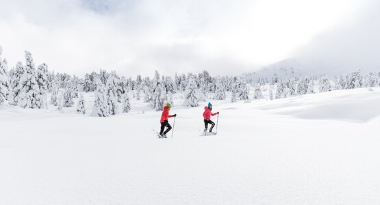 Wanderer, Schnee, Bäume | ©  (C) Gaia Panozzo