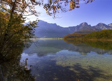 Almtal Almsee Herbst Wasser Schwäne Österreich Salzkammergut | © Pixabay